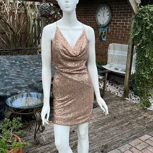 Parker Black Label Rose Gold Sequin Paris Dress